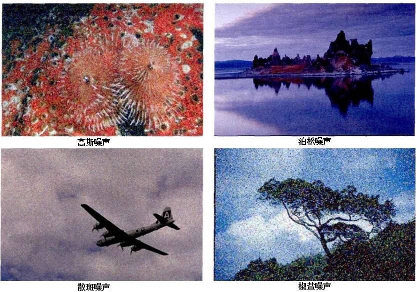 新闻中心 Image